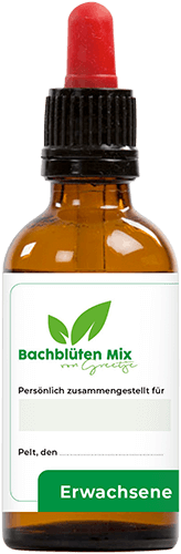 Bachblüten-Mix selbst komponieren