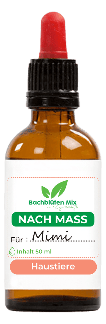 Bachblüten nach Maß für Pferde