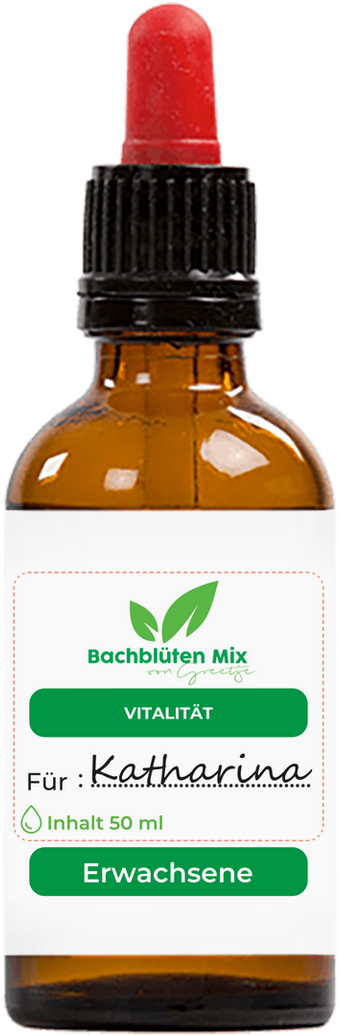 Bachblüten Vitalität & Energie