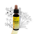 Bach Rescue druppels - 20 ml
