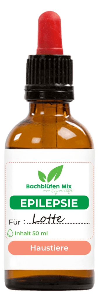 Bachblüten Hund mit Epilepsie