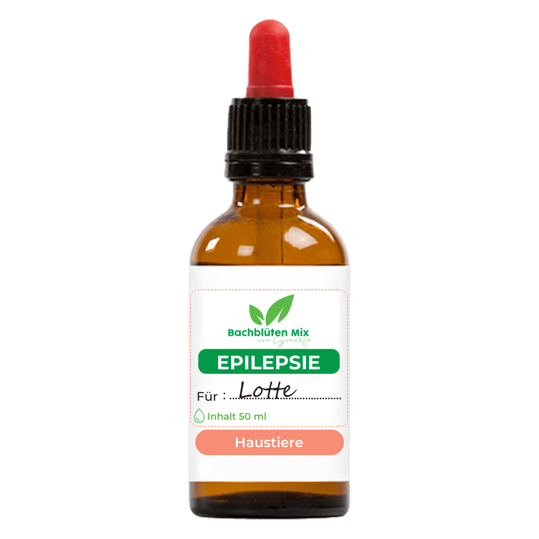 Bachblüten Hund mit Epilepsie