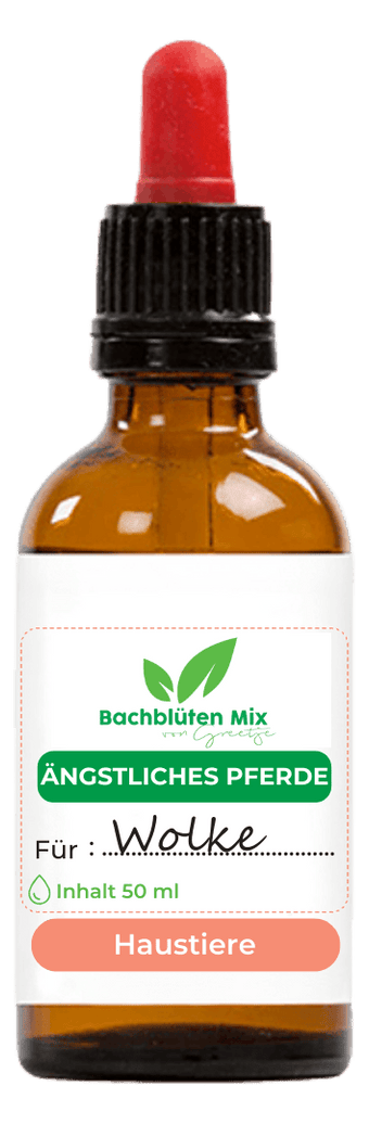 Bachblüten ängstliches Pferd
