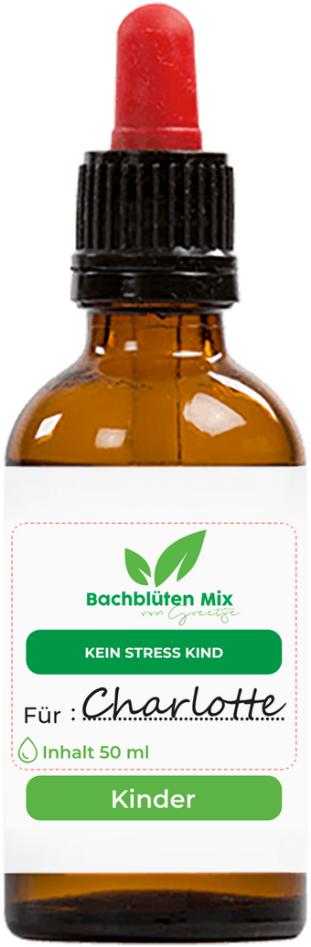 Bachblüten Stress Kind