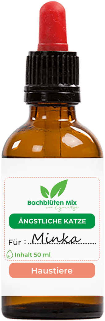 Bachblüten ängstliche Katze