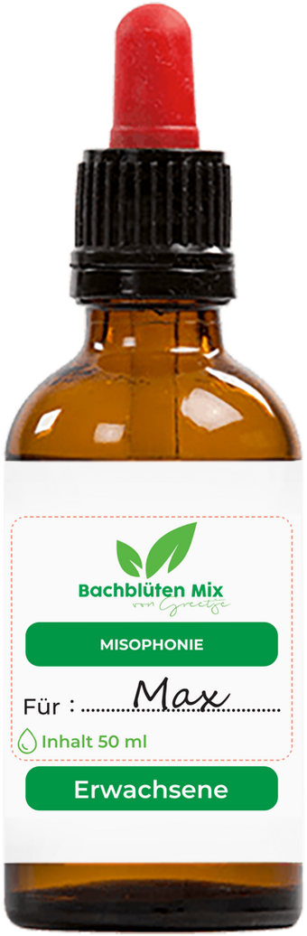 Bachblüten Misophonie