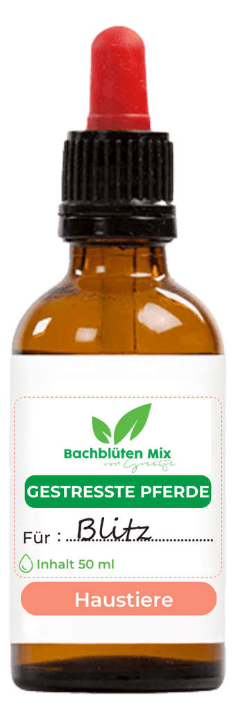 Bachblüten gestresstes Pferd
