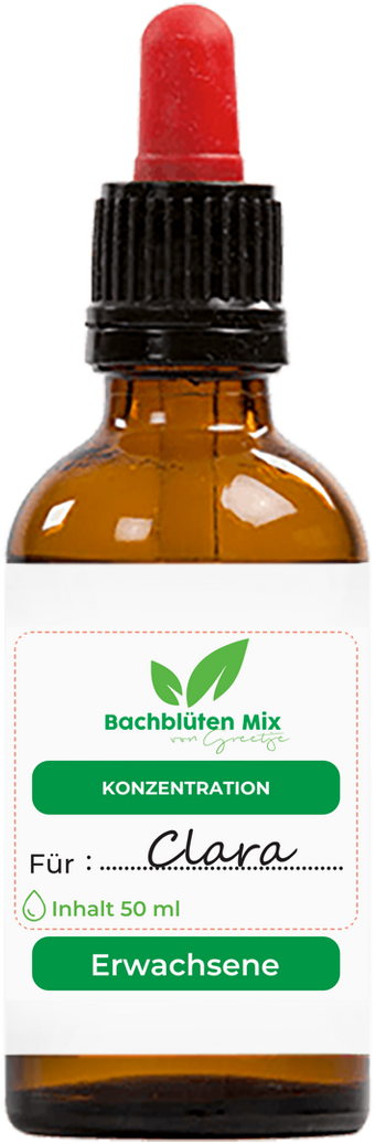 Bachblüten Konzentration & Fokus
