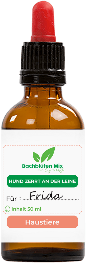 Bachblüten Hund zieht an der Leine