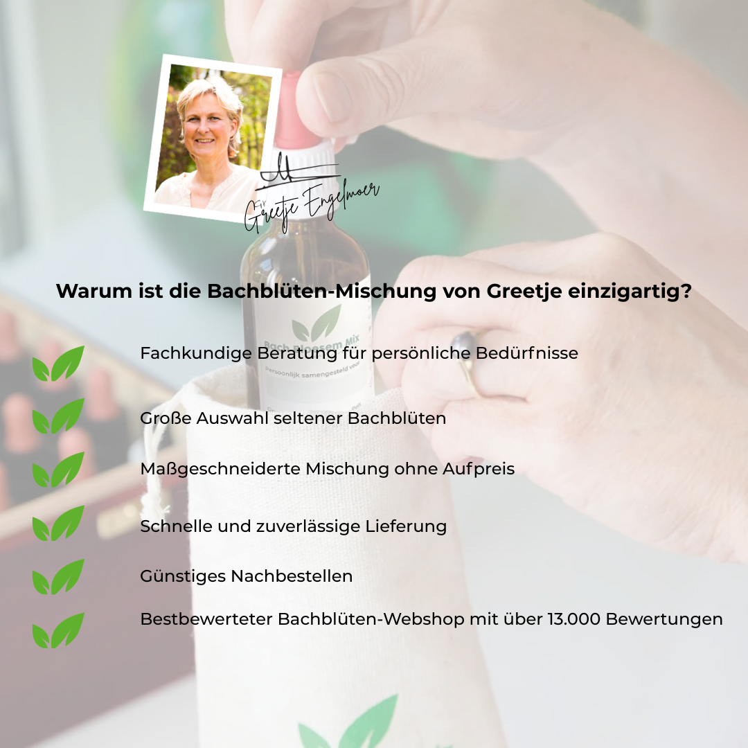 Bachblüten ängstliche Katze