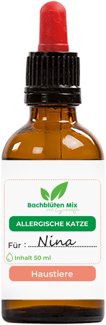 Bachblüten Hund mit Juckreiz