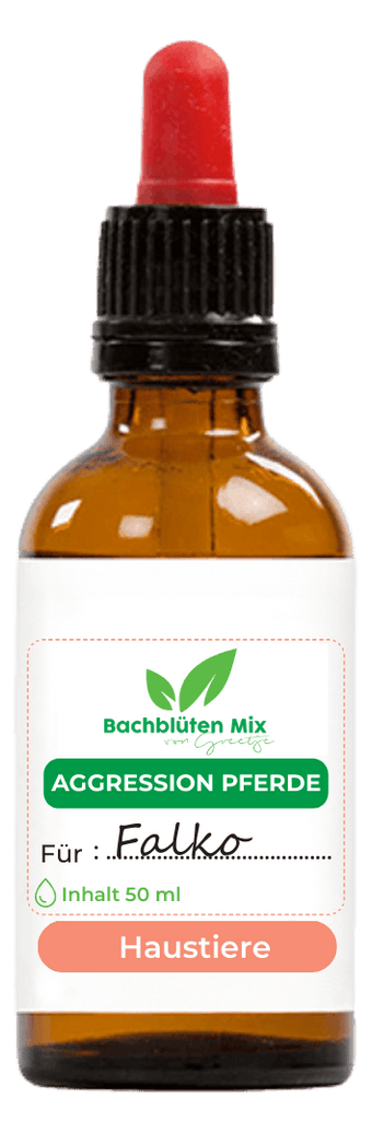 Bachblüten aggressives Pferd