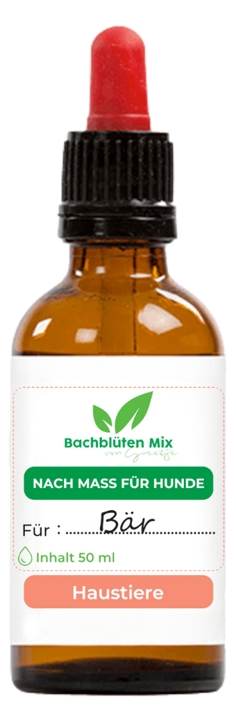 Bachblüten nach Maß für Hunde
