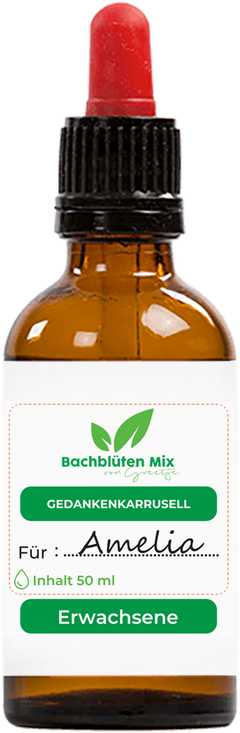 Bachblüten Gedankenkarussell