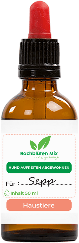 Bachblüten aufreitender Hund