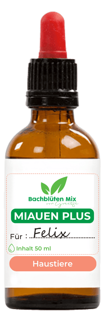 Bachblüten miauende Katze