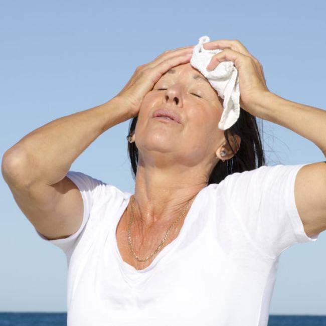 Bach Bloesem Mix Overgang - Menopauze