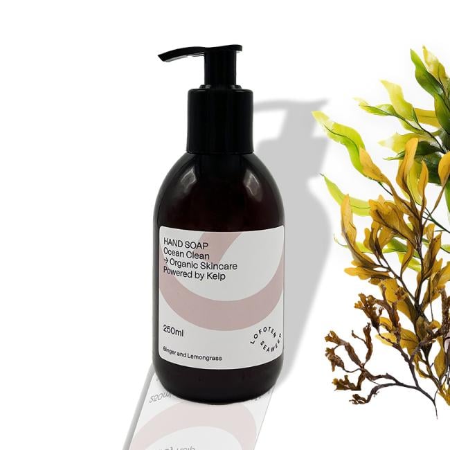Lofoten Seaweed Handzeep – 250 ml