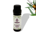 Etherische olie Eucalyptus, radiata - 11 ml