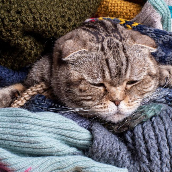 Bach Bloesem Mix Antistress Kat